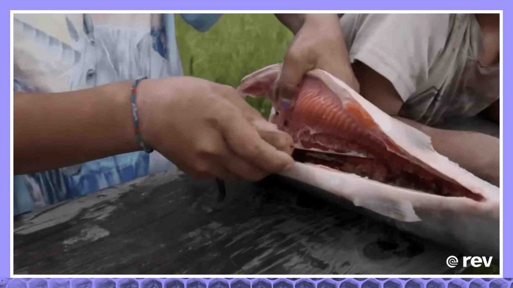 阿拉斯加育空河鲑鱼短缺正在改变当地人的生活方式
