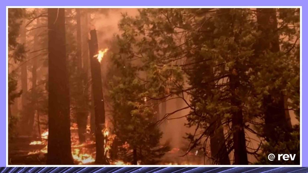 证据表明，美国林务局管理不善导致了加州野火